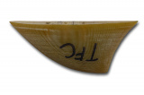 Kite ploutvička G10 použitá: TFC 2,5